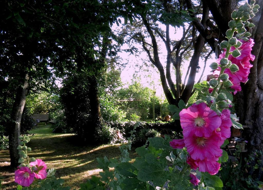 La Claverie Sainte-Radégonde-des-Noyers Εξωτερικό φωτογραφία
